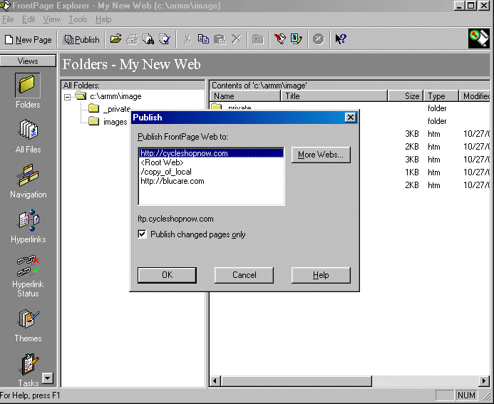 FP2.gif (34150 bytes)