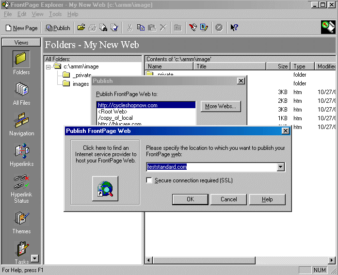 FP4.gif (43445 bytes)